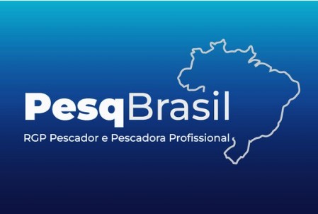 Acesse o Sistema PesqBrasil